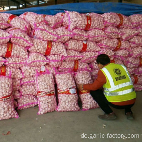 Shandong frischer Knoblauch mit niedrigem Preis für den Großhandel